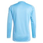 aston villa adidas goalkeeper shirt 2024-25 – long sleeve – 201964005 Collection | Official Aston Villa Jerseys for Fans