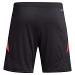 aston villa adidas goalkeeper shorts 2024-25 – 201964002 with custom printing Collection | Official Aston Villa Jerseys for Fans