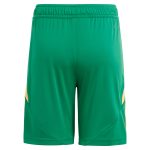aston villa adidas goalkeeper shorts 2024-25 – 201964010 Collection | Official Aston Villa Jerseys for Fans