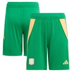 aston villa adidas goalkeeper shorts 2024-25 – kids – 201964012 with custom printing Collection | Official Aston Villa Jerseys for Fans