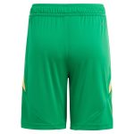 aston villa adidas goalkeeper shorts 2024-25 – kids – 201964012 with custom printing Collection | Official Aston Villa Jerseys for Fans