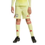 aston villa adidas goalkeeper shorts 2025-26 – kids Collection | Official Aston Villa Jerseys for Fans