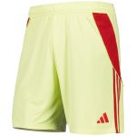 aston villa adidas goalkeeper shorts 2025-26 Collection | Official Aston Villa Jerseys for Fans