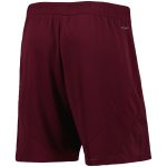 aston villa adidas home change shorts 2024-25 with custom printing Collection | Official Aston Villa Jerseys for Fans
