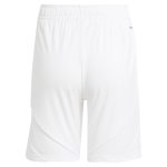 aston villa adidas home shorts 2024-25 – kids with custom printing Collection | Official Aston Villa Jerseys for Fans