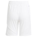 aston villa adidas home shorts 2024-25 with custom printing Collection | Official Aston Villa Jerseys for Fans