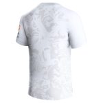 aston villa castore away shirt 2023-24 with custom printing Collection | Official Aston Villa Jerseys for Fans